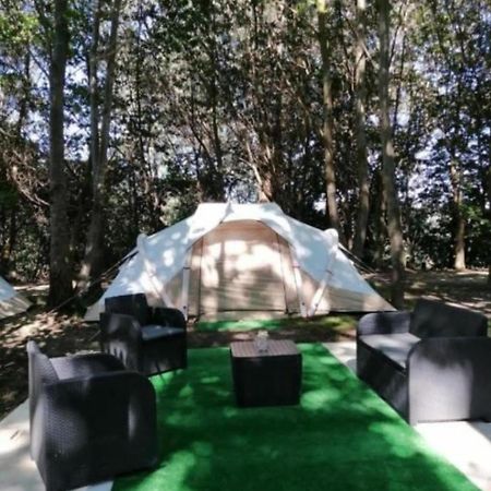 La Finca - Campamento En La Naturaleza Carranceja Kültér fotó