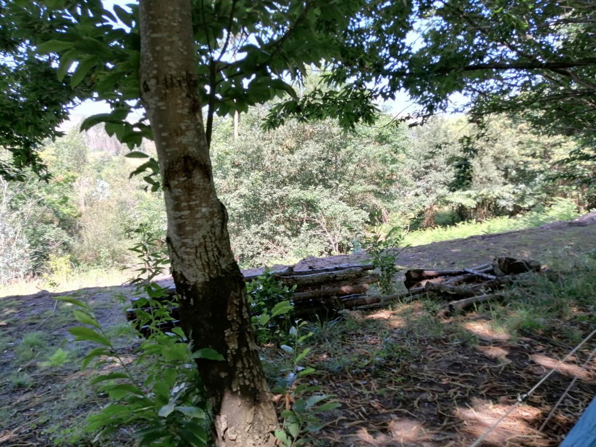 La Finca - Campamento En La Naturaleza Carranceja Kültér fotó