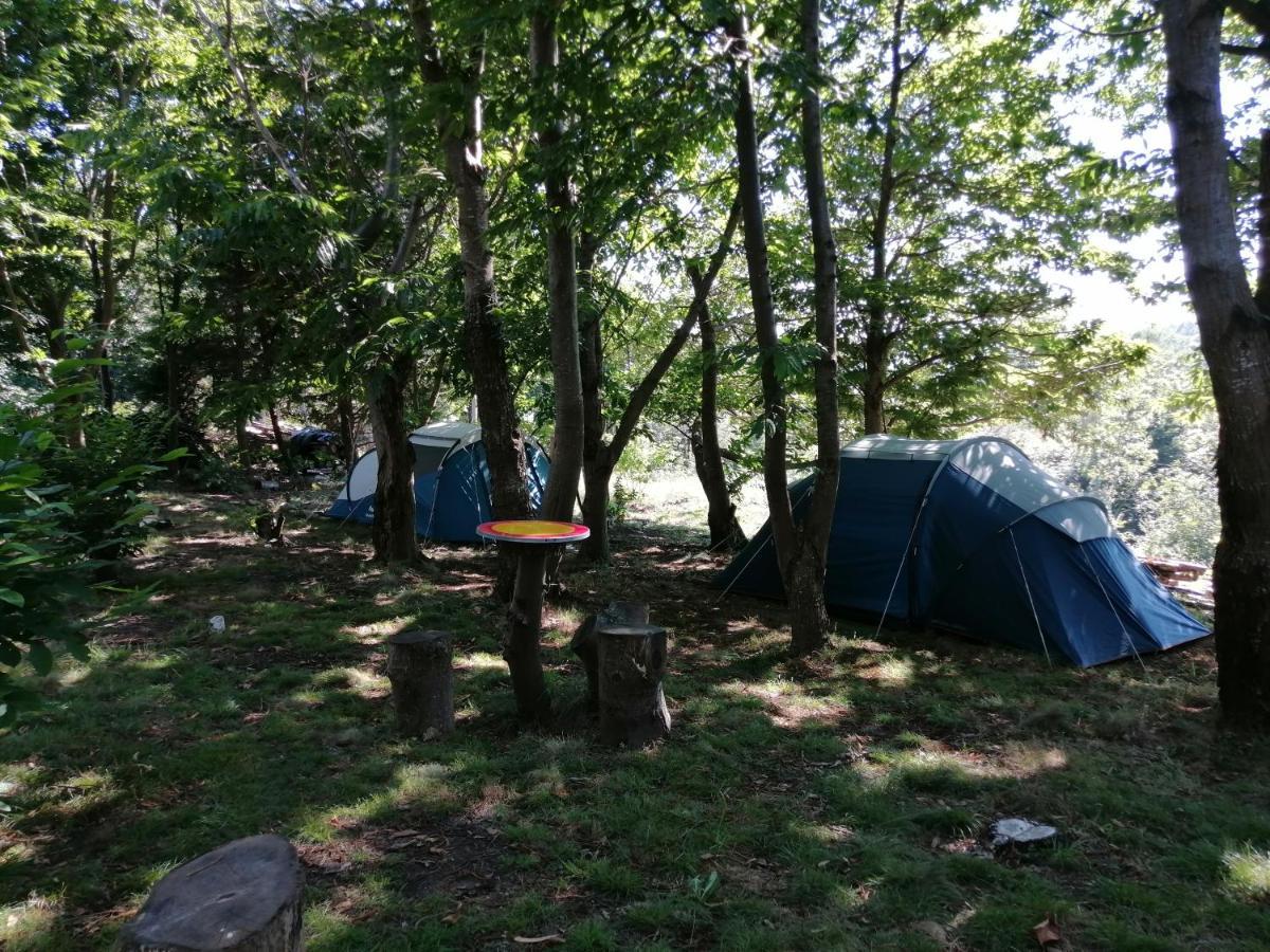 La Finca - Campamento En La Naturaleza Carranceja Kültér fotó