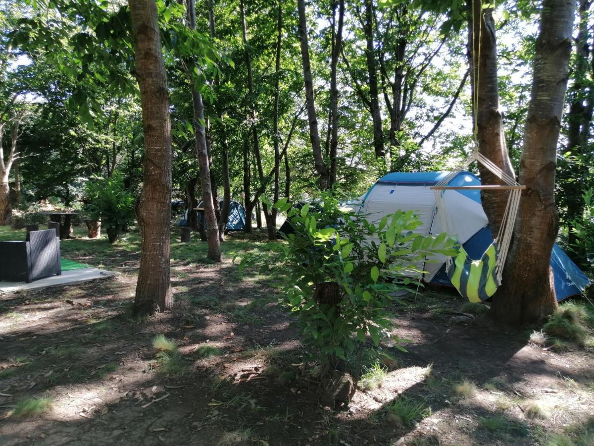 La Finca - Campamento En La Naturaleza Carranceja Kültér fotó