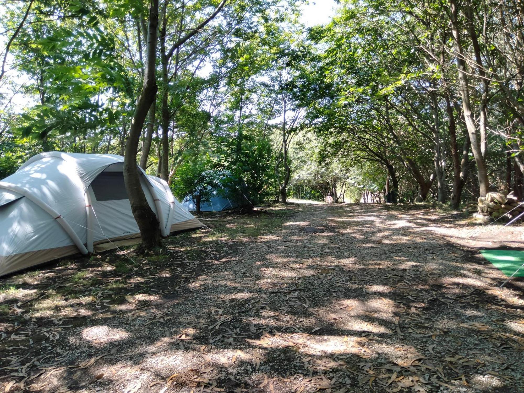 La Finca - Campamento En La Naturaleza Carranceja Kültér fotó