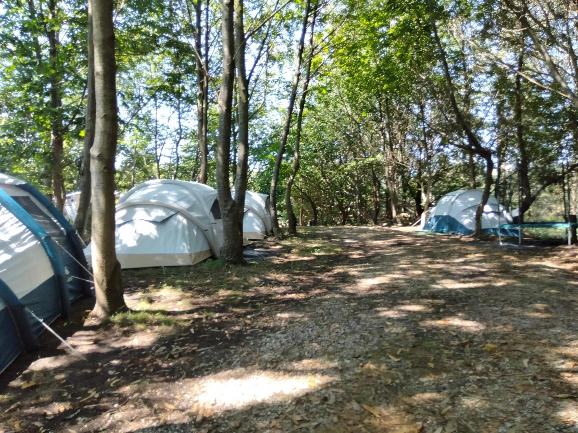 La Finca - Campamento En La Naturaleza Carranceja Kültér fotó
