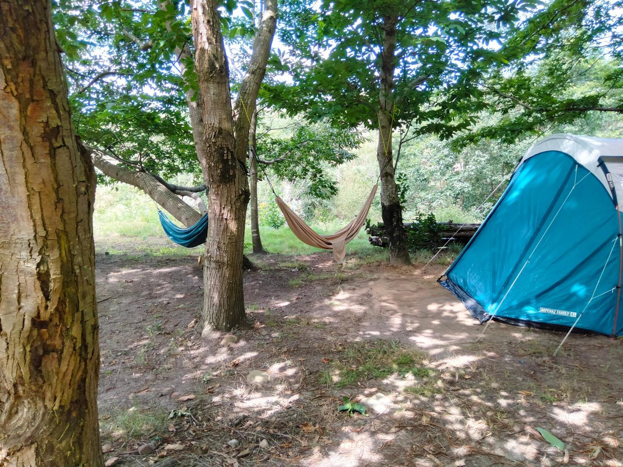 La Finca - Campamento En La Naturaleza Carranceja Szoba fotó