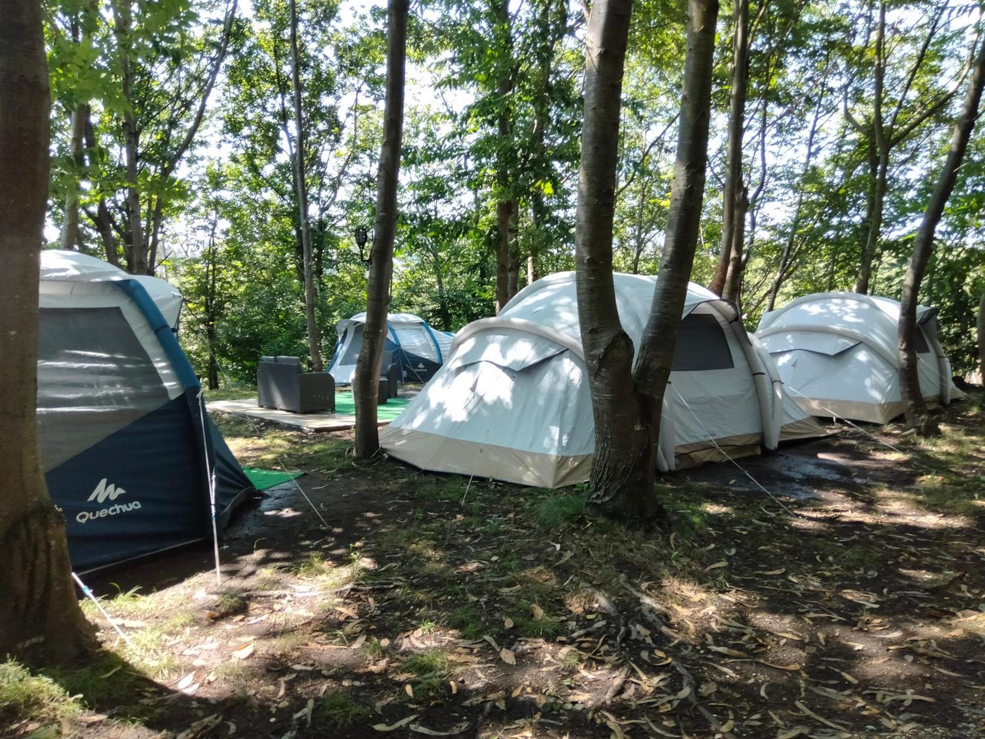 La Finca - Campamento En La Naturaleza Carranceja Szoba fotó