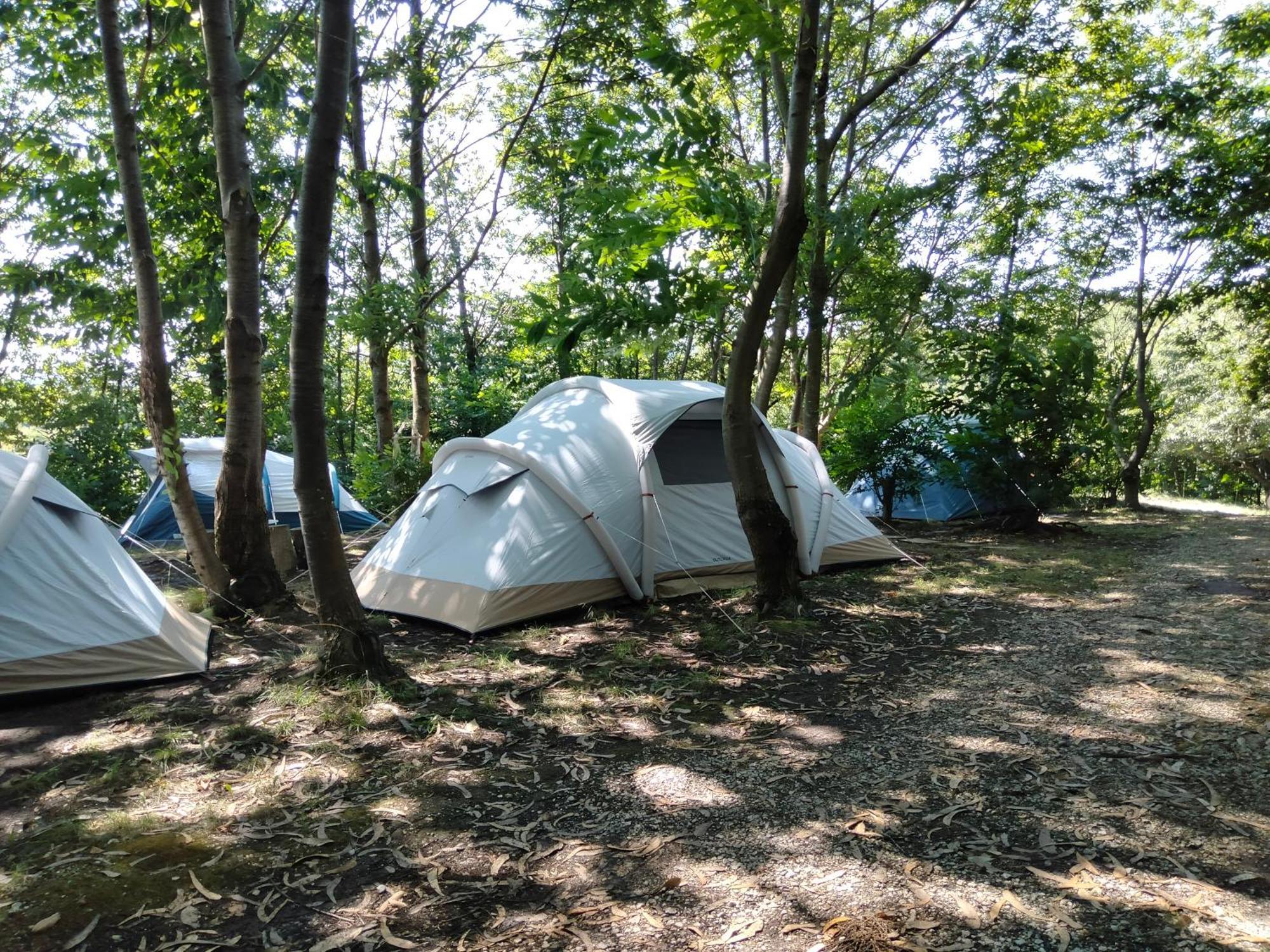 La Finca - Campamento En La Naturaleza Carranceja Szoba fotó