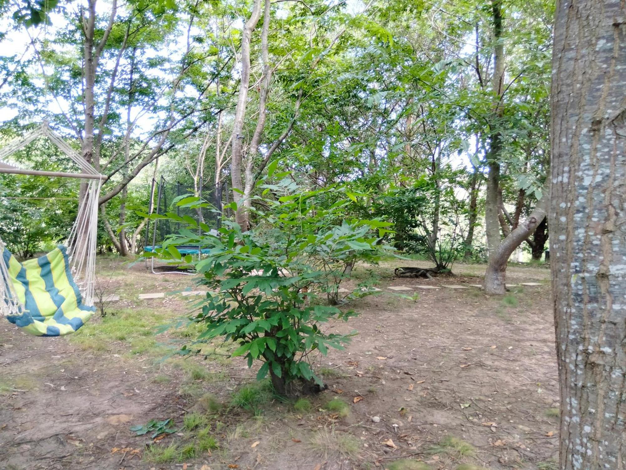 La Finca - Campamento En La Naturaleza Carranceja Szoba fotó